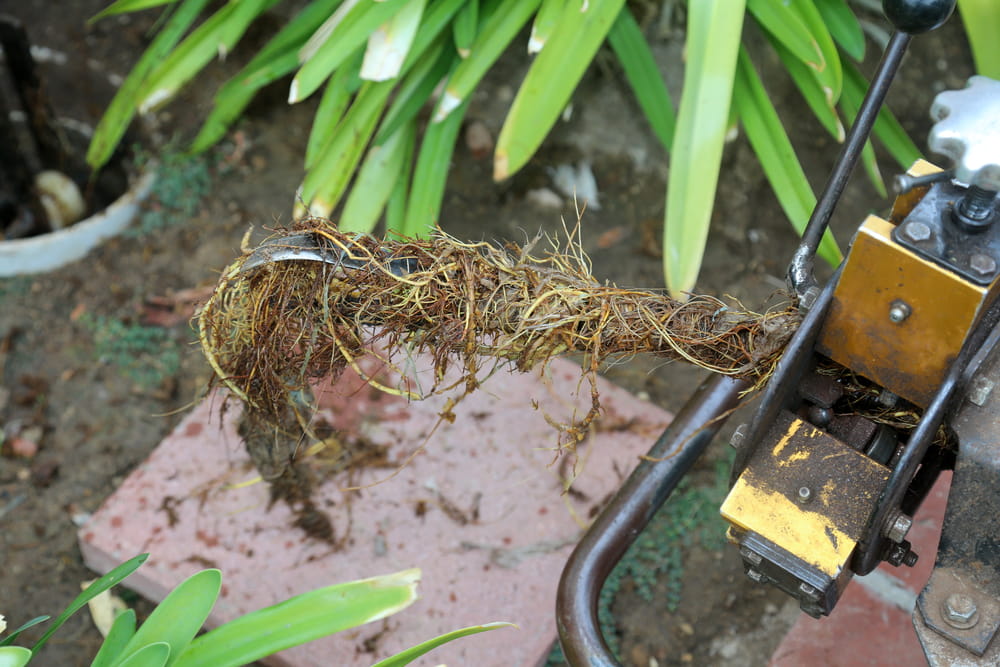 clogged sewer drain
