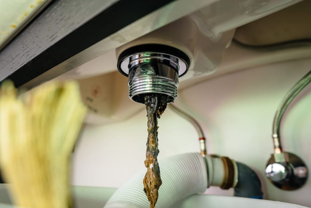 drain cleaning in Seattle, WA