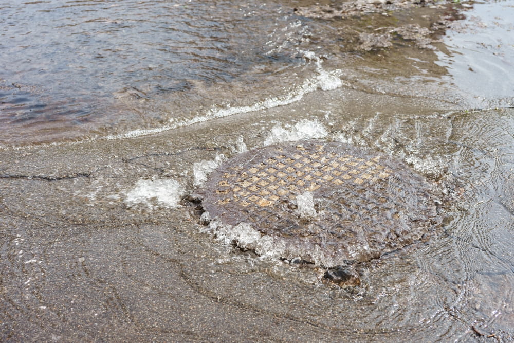 sewer repair